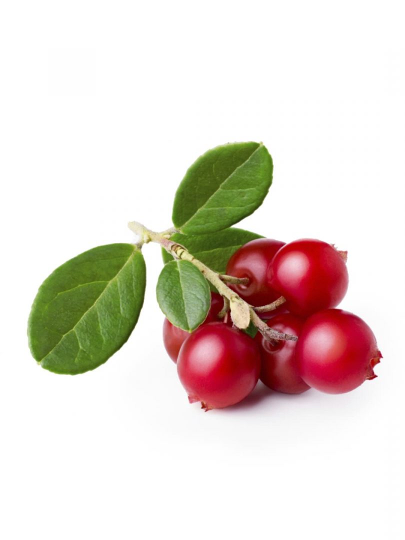 Wild Lingonberries, Frozen / lb
